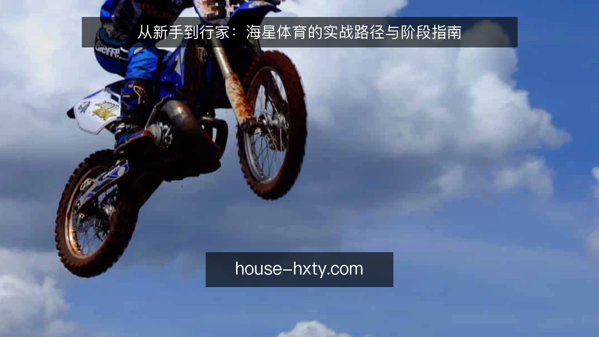 从新手到行家：海星体育的实战路径与阶段指南