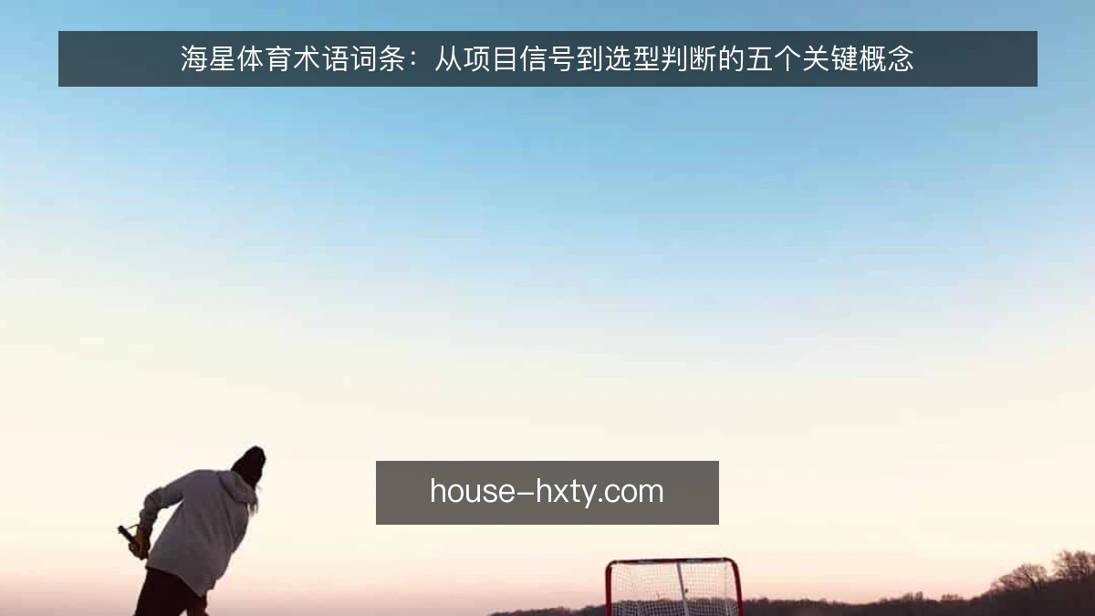 海星体育术语词条：从项目信号到选型判断的五个关键概念
