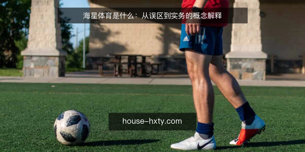 海星体育是什么:从误区到实务的概念解释 — 海星体育是什么:一个先要澄清的定义 配图