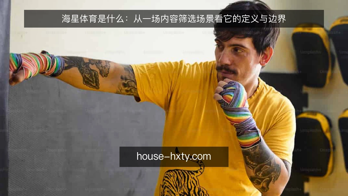 海星体育是什么:从一场内容筛选场景看它的定义与边界