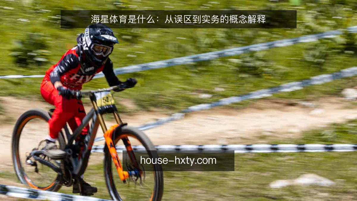 海星体育是什么:从误区到实务的概念解释